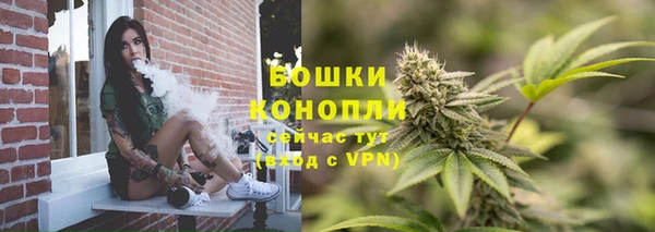 твердый Пересвет