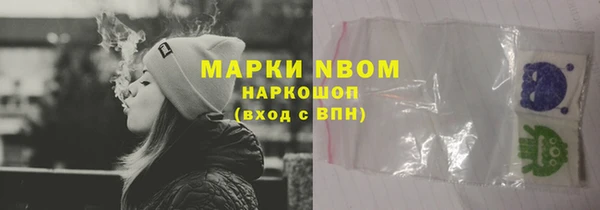 прущие грибы Покров