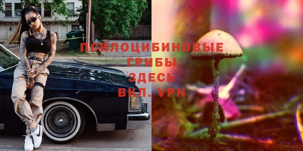 твердый Пересвет