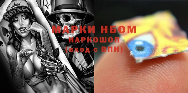 прущие грибы Покров
