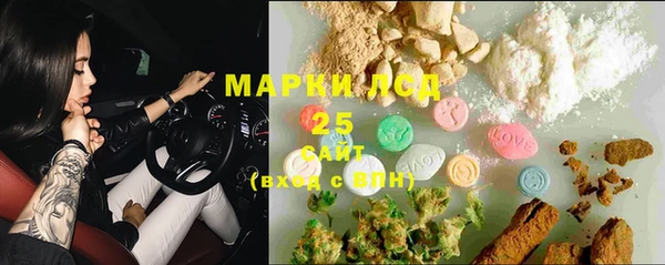 ECSTASY Покачи