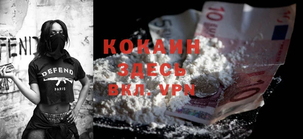 твердый Пересвет