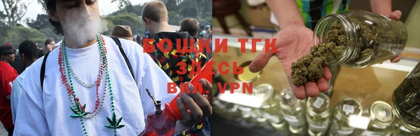 твердый Пересвет