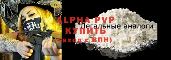 ECSTASY Покачи