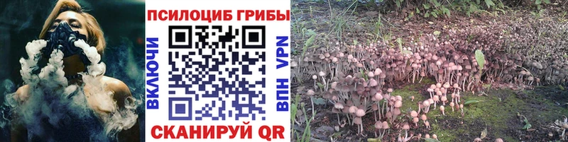 Псилоцибиновые грибы ЛСД  Купить  Новокузнецк 